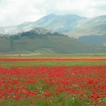 Umbria Valnerina In Noble Near Spoleto X 4-6 Persons Semesterbostad SantʼAnatolia di Narco