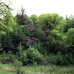 Umbria Valnerina In Noble Near Spoleto X 4-6 Persons * SantʼAnatolia di Narco