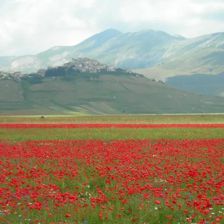 Umbria Valnerina In Noble Near Spoleto X 4-6 Persons Дом отдыха Сант'Анатолия-ди-Нарко