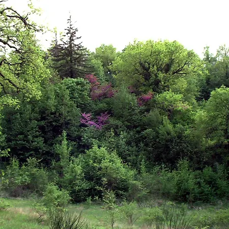 Umbria Valnerina In Noble Near Spoleto X 4-6 Persons * Сант'Анатолия-ди-Нарко