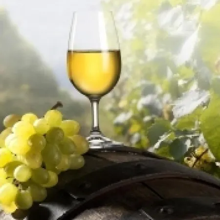 Umbria Valnerina In Noble Near Spoleto X 4-6 Persons