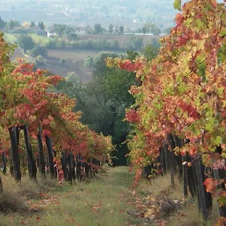 Umbria Valnerina In Noble Near Spoleto X 4-6 Persons *