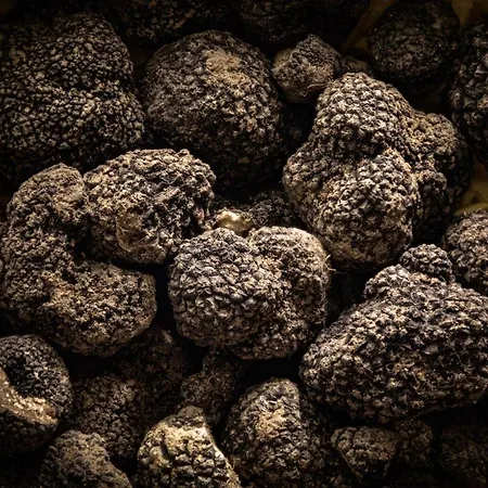 Umbria Valnerina In Noble Near Spoleto X 4-6 Persons Дом отдыха *