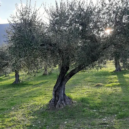 Umbria Valnerina In Noble Near Spoleto X 4-6 Persons *